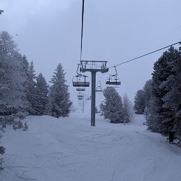 PXL_20250226_095010156