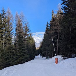 PXL_20250225_142537205