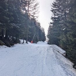 PXL_20250225_142544267.MP
