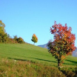 automne2007013