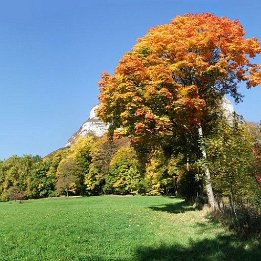 automne2007017 7 images, Taille: 7157 x 3556, FOV: 126.11 x 62.67, RMS: 2.57, Lentille: Standard, Projection: Sphérique, Couleur: LDR