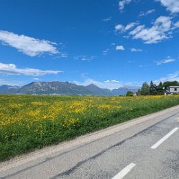 PXL_20250419_131109699
