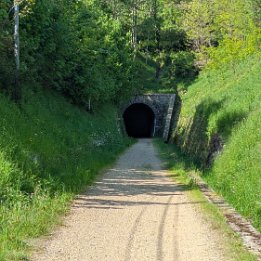 PXL_20250509_085013797