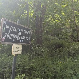 PXL_20250531_080907229.MP