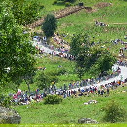 alpehuez0008