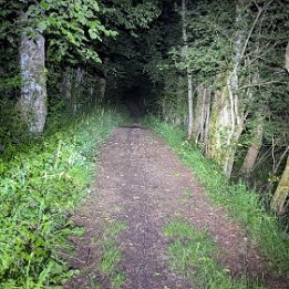 PXL_20250523_200108664.MP