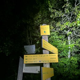 PXL_20250523_203624945.NIGHT