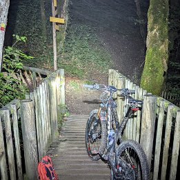 PXL_20250523_204647911.NIGHT